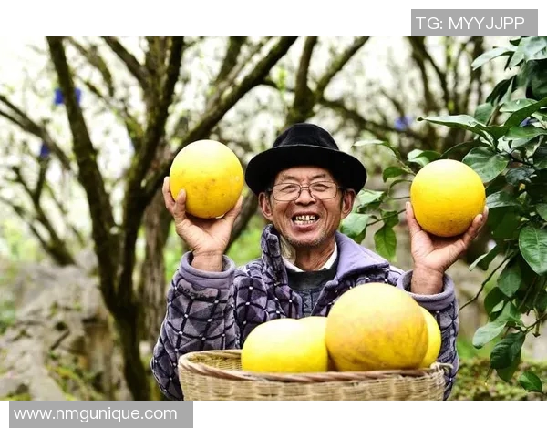 循化道伟乡的篮球明星如何在乡村振兴中点燃青春梦想与希望